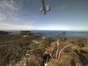 ./images/calvert/lookout/20210425/lookout20210425_110502.jpg