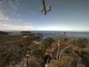 ./images/calvert/lookout/20210425/lookout20210425_111002.jpg