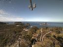 ./images/calvert/lookout/20210425/lookout20210425_111502.jpg