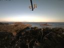 ./images/calvert/lookout/20210426/lookout20210426_071001.jpg