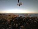 ./images/calvert/lookout/20210426/lookout20210426_071501.jpg