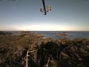 ./images/calvert/lookout/20210426/lookout20210426_074502.jpg