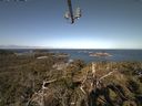 ./images/calvert/lookout/20210426/lookout20210426_092002.jpg