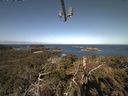 ./images/calvert/lookout/20210426/lookout20210426_092502.jpg