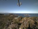 ./images/calvert/lookout/20210426/lookout20210426_095502.jpg