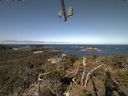 ./images/calvert/lookout/20210426/lookout20210426_101501.jpg