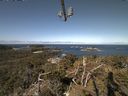 ./images/calvert/lookout/20210426/lookout20210426_102001.jpg