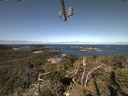 ./images/calvert/lookout/20210426/lookout20210426_102501.jpg