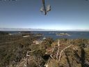 ./images/calvert/lookout/20210426/lookout20210426_103501.jpg