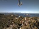 ./images/calvert/lookout/20210426/lookout20210426_104501.jpg