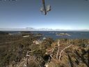 ./images/calvert/lookout/20210426/lookout20210426_105001.jpg