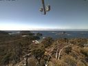 ./images/calvert/lookout/20210426/lookout20210426_131001.jpg