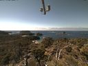 ./images/calvert/lookout/20210426/lookout20210426_134502.jpg
