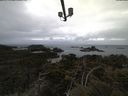 ./images/calvert/lookout/20210427/lookout20210427_063502.jpg