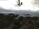 ./images/calvert/lookout/20210427/lookout20210427_102002.jpg