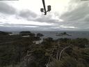 ./images/calvert/lookout/20210427/lookout20210427_110501.jpg