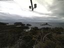 ./images/calvert/lookout/20210427/lookout20210427_111501.jpg