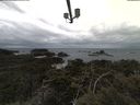 ./images/calvert/lookout/20210427/lookout20210427_112001.jpg