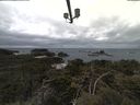 ./images/calvert/lookout/20210427/lookout20210427_112501.jpg