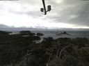 ./images/calvert/lookout/20210427/lookout20210427_120501.jpg