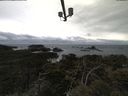 ./images/calvert/lookout/20210427/lookout20210427_121001.jpg