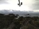 ./images/calvert/lookout/20210427/lookout20210427_121502.jpg