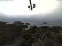 ./images/calvert/lookout/20210427/lookout20210427_135502.jpg