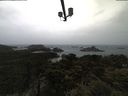./images/calvert/lookout/20210428/lookout20210428_083501.jpg