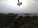 ./images/calvert/lookout/20210428/lookout20210428_085501.jpg