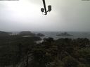 ./images/calvert/lookout/20210428/lookout20210428_090501.jpg