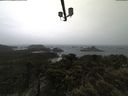 ./images/calvert/lookout/20210428/lookout20210428_091001.jpg