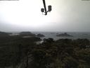 ./images/calvert/lookout/20210428/lookout20210428_091501.jpg