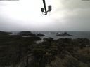 ./images/calvert/lookout/20210428/lookout20210428_095502.jpg