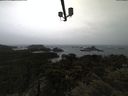 ./images/calvert/lookout/20210428/lookout20210428_101502.jpg