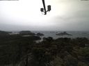 ./images/calvert/lookout/20210428/lookout20210428_102001.jpg