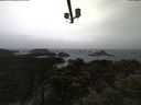 ./images/calvert/lookout/20210428/lookout20210428_102501.jpg
