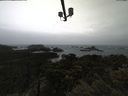 ./images/calvert/lookout/20210428/lookout20210428_103501.jpg