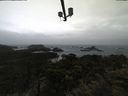 ./images/calvert/lookout/20210428/lookout20210428_105501.jpg