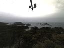 ./images/calvert/lookout/20210428/lookout20210428_111001.jpg