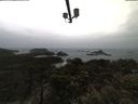 ./images/calvert/lookout/20210428/lookout20210428_111501.jpg