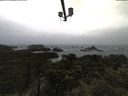 ./images/calvert/lookout/20210428/lookout20210428_112001.jpg