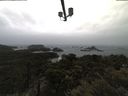 ./images/calvert/lookout/20210428/lookout20210428_112502.jpg