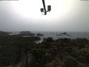 ./images/calvert/lookout/20210428/lookout20210428_124501.jpg
