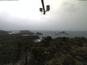./images/calvert/lookout/20210428/lookout20210428_125001.jpg