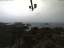 ./images/calvert/lookout/20210428/lookout20210428_144501.jpg