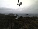 ./images/calvert/lookout/20210428/lookout20210428_155501.jpg