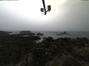 ./images/calvert/lookout/20210428/lookout20210428_172502.jpg