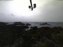 ./images/calvert/lookout/20210428/lookout20210428_205001.jpg