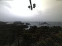 ./images/calvert/lookout/20210429/lookout20210429_062501.jpg