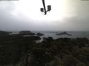 ./images/calvert/lookout/20210429/lookout20210429_063502.jpg